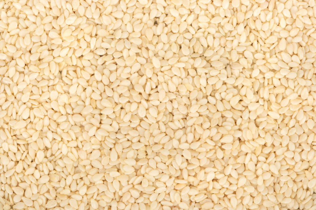 SESAME