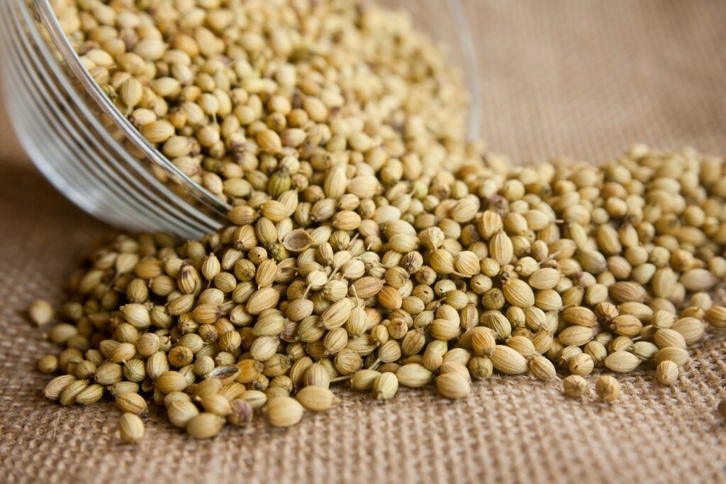 coriander, seeds, seasoning-166990.jpg