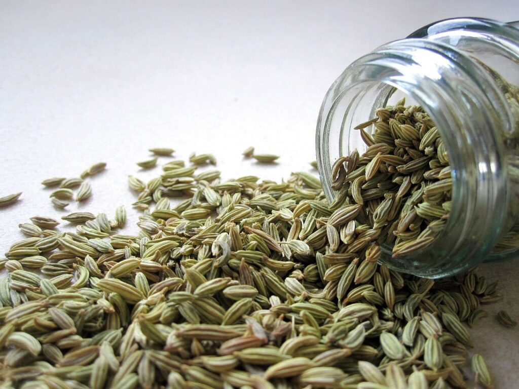 fennel, seeds, spice-2617.jpg